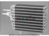 AKS DASIS 820005N Evaporator, air conditioning